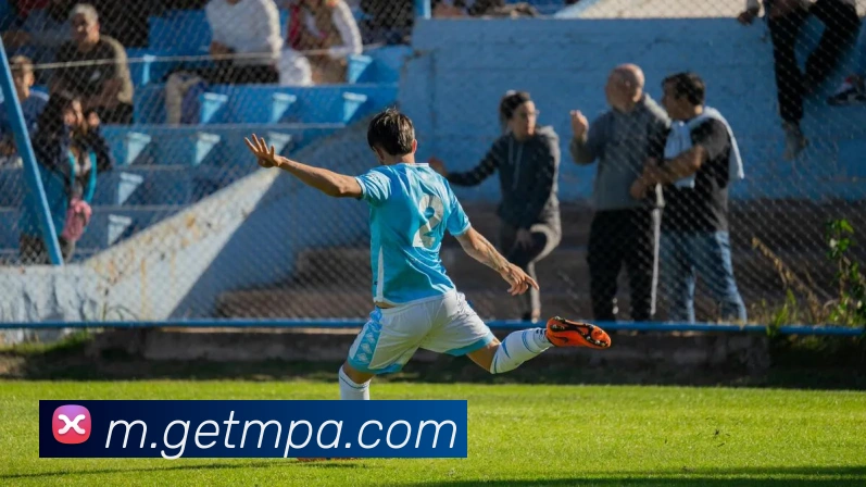 pa视讯平台生态图